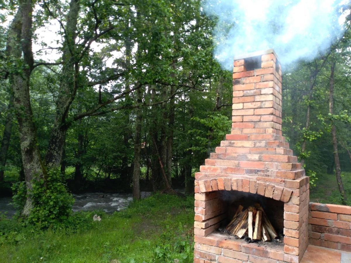 Chalet By The River Valiug Luaran gambar