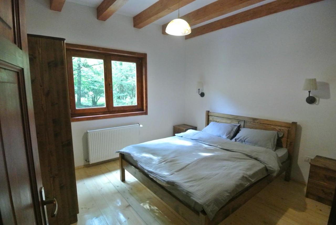 Chalet By The River Valiug Luaran gambar